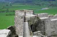 Dinefwr Castle